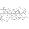 Peptides and SARMs BUNDLE
