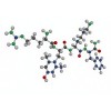 SS-31 (Elamipretide) 10mg
